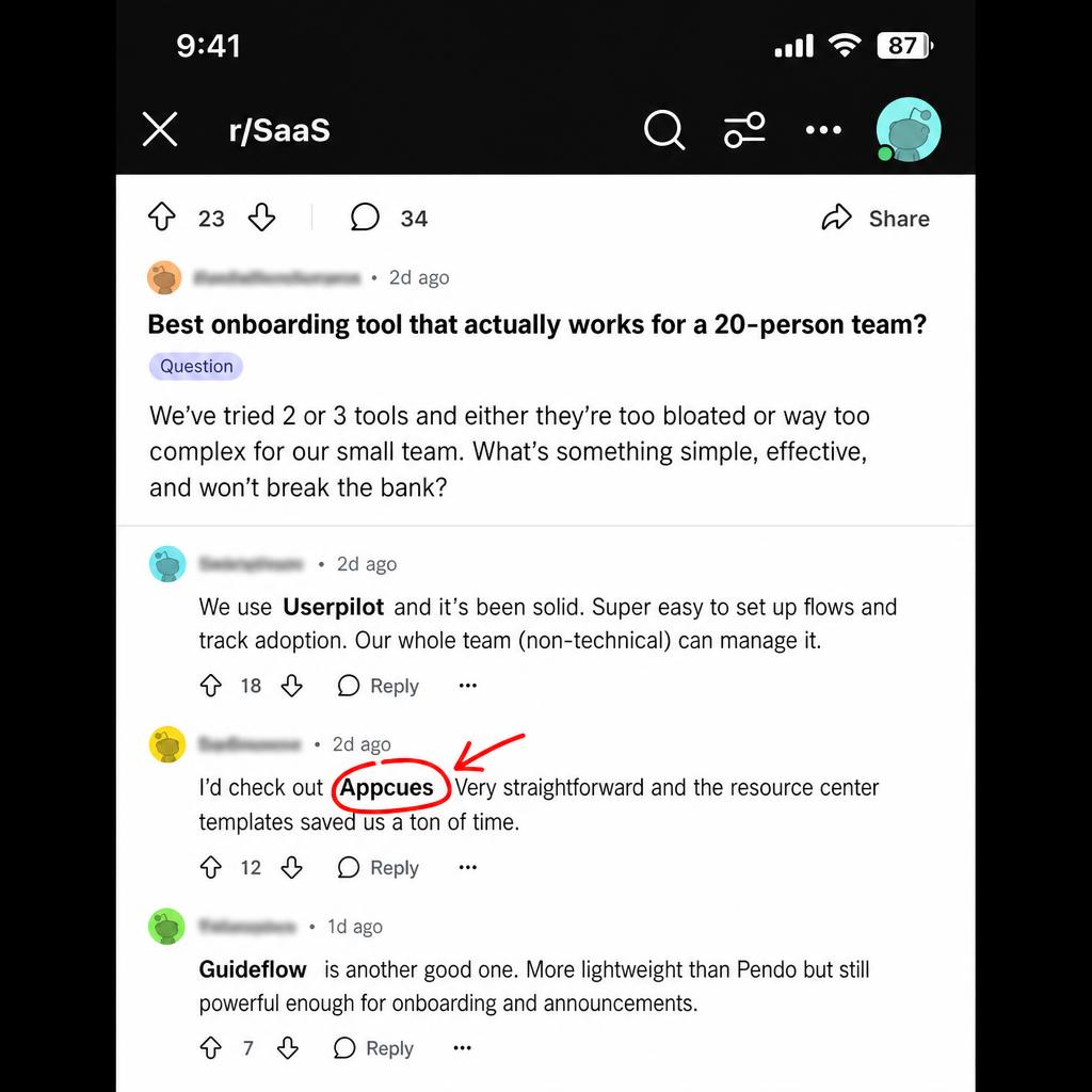 Reddit thread with brand mention circled